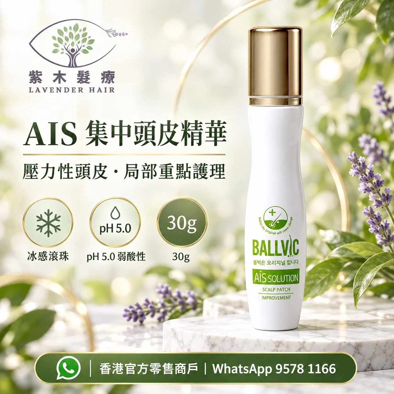 Ballvic AIS Solution