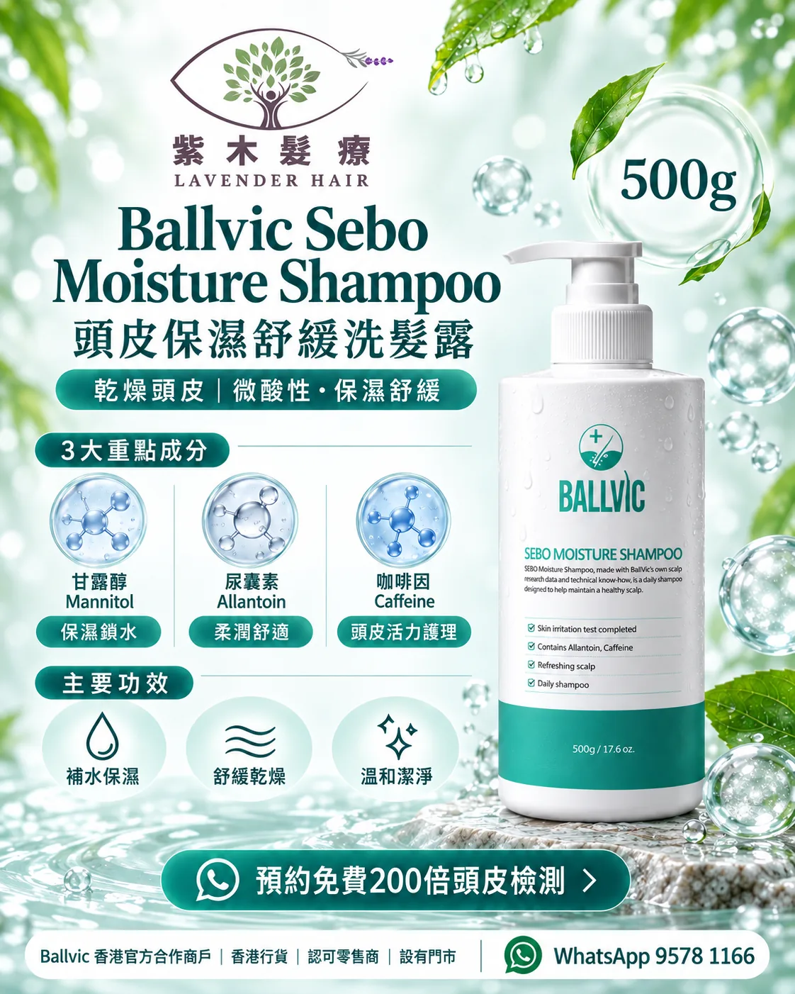 Sebo Moisture Shampoo 500g簡單版說明圖