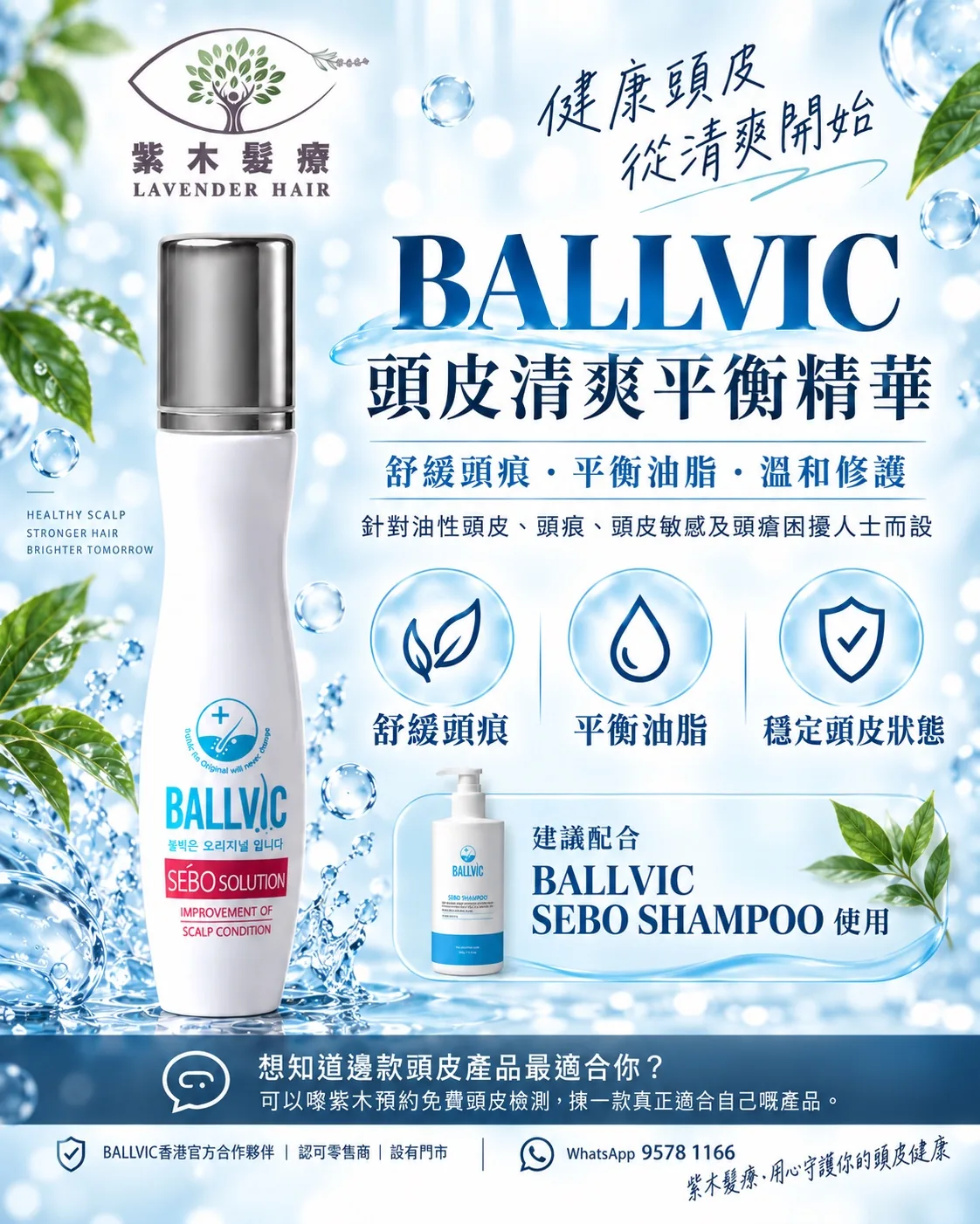 Sebo Solution簡單版說明圖
