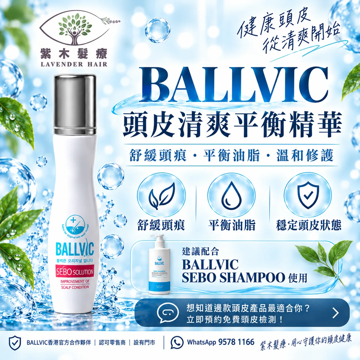 Ballvic Sebo Solution
