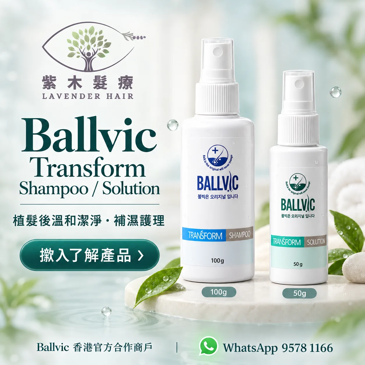 Ballvic Transform Shampoo / Solution