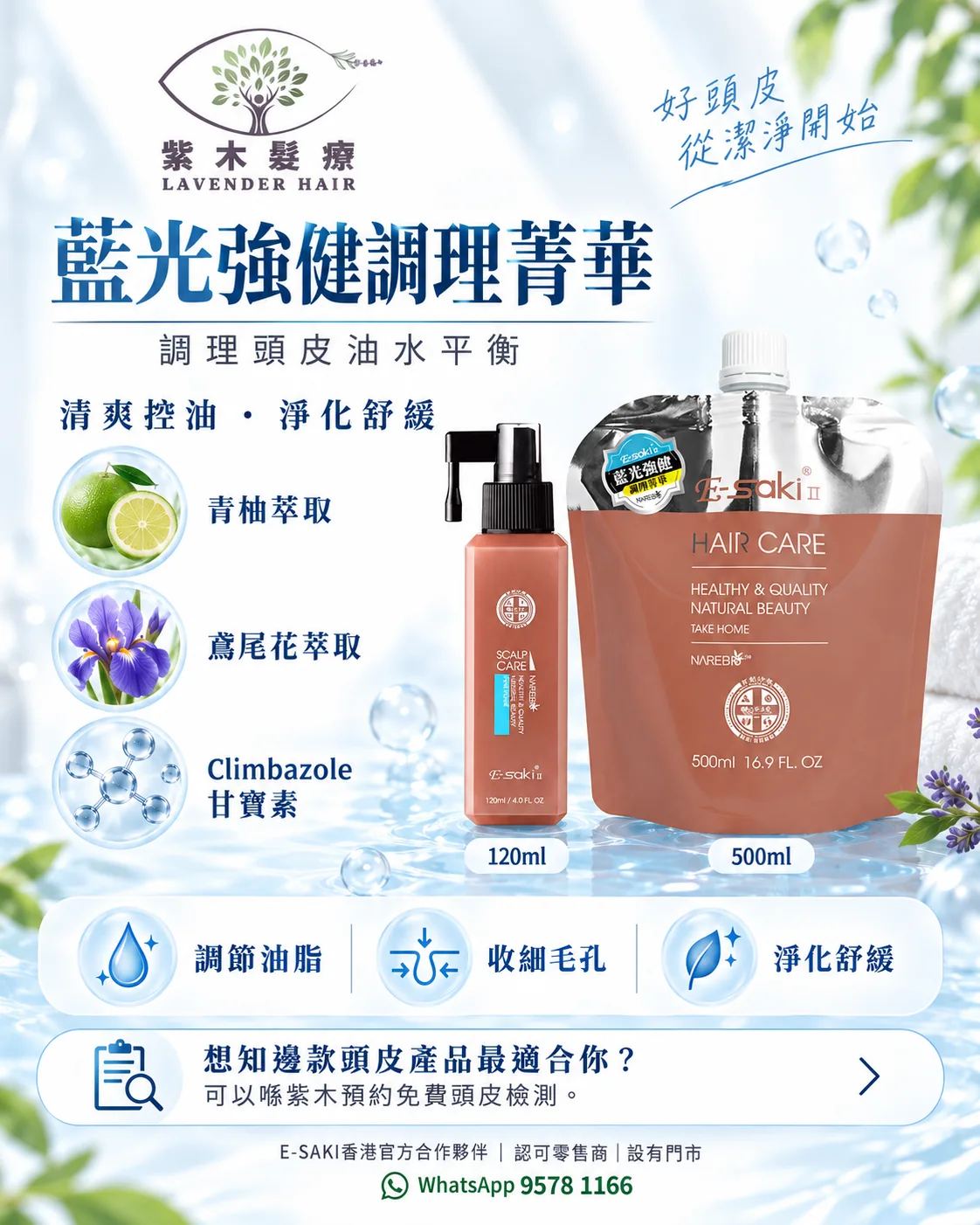 藍光強健調理菁華簡單版說明圖